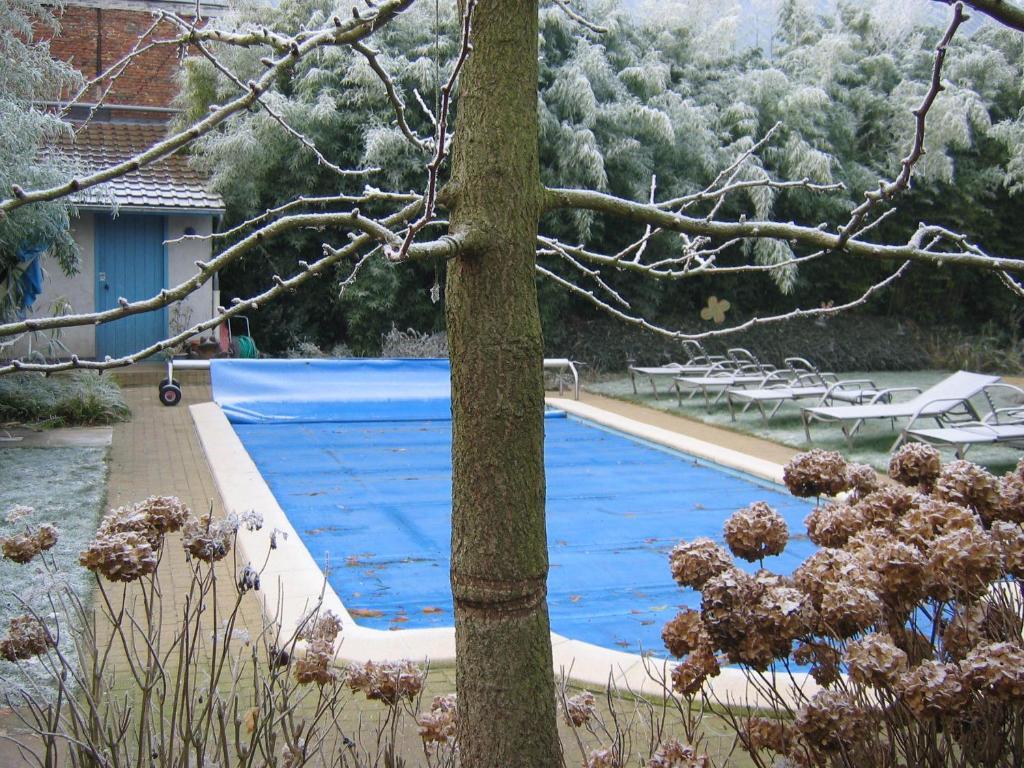 Hotel Van Reeth's Koffiebranderij Puurs Buitenkant foto